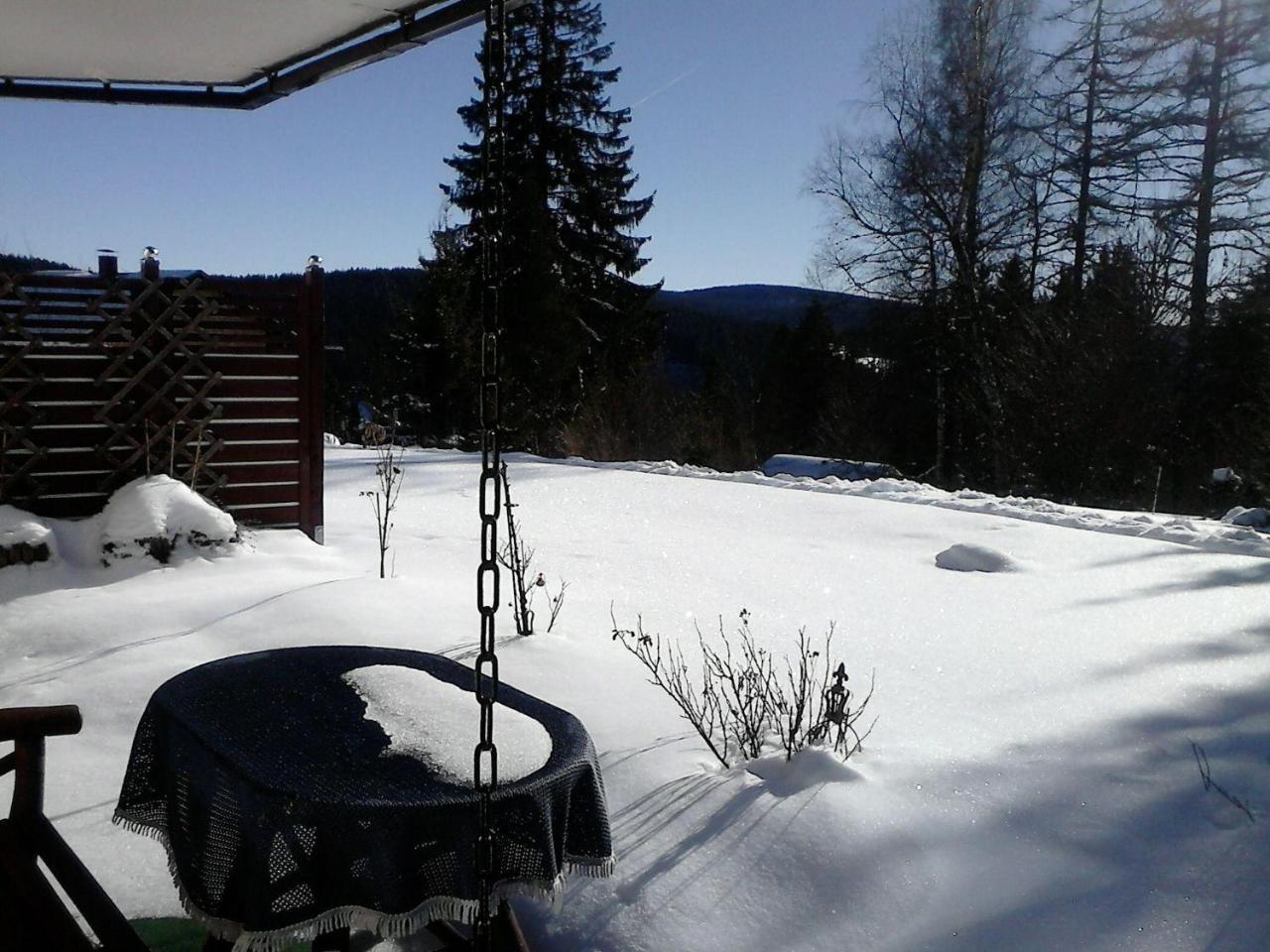 Sonnige-Waldruhe-Am-Skiberg Otel Feldberg  Dış mekan fotoğraf